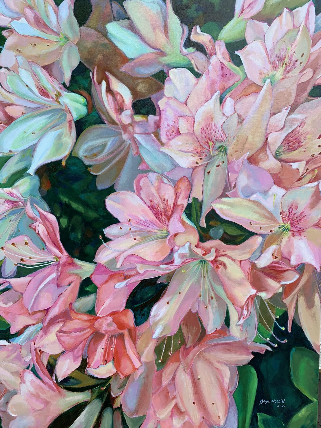 Azalea Dream, oil painting by Gayle Merrill