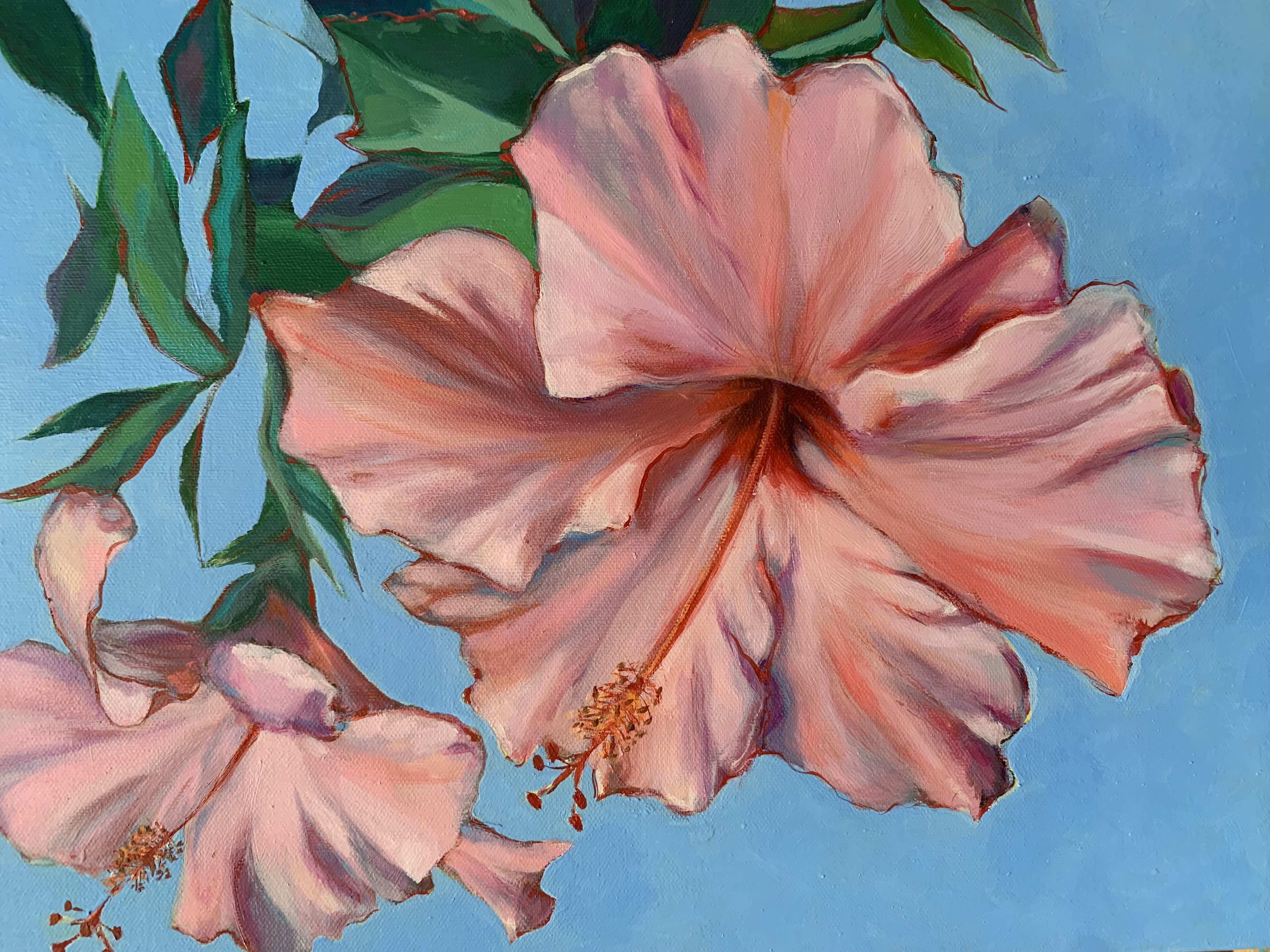 Mandevilla
