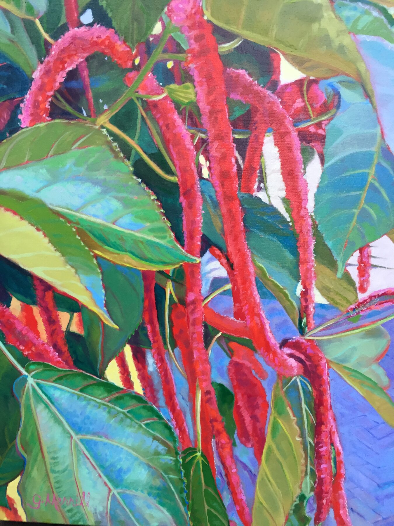 Red Fuzzies, oil painting by Gayle Merrill