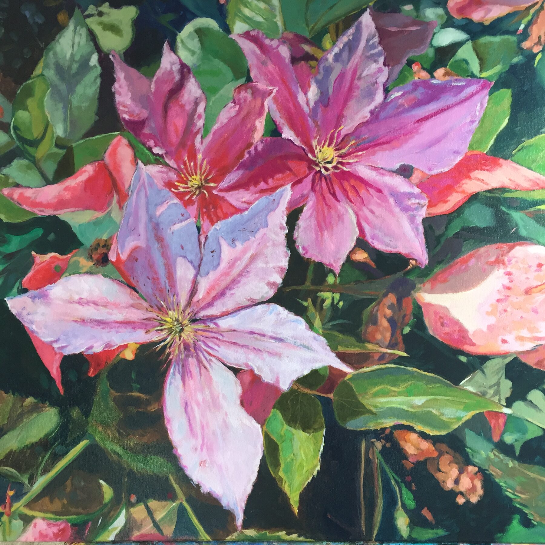 Mr. Rupert Clematis, oil painting by Gayle Merrill