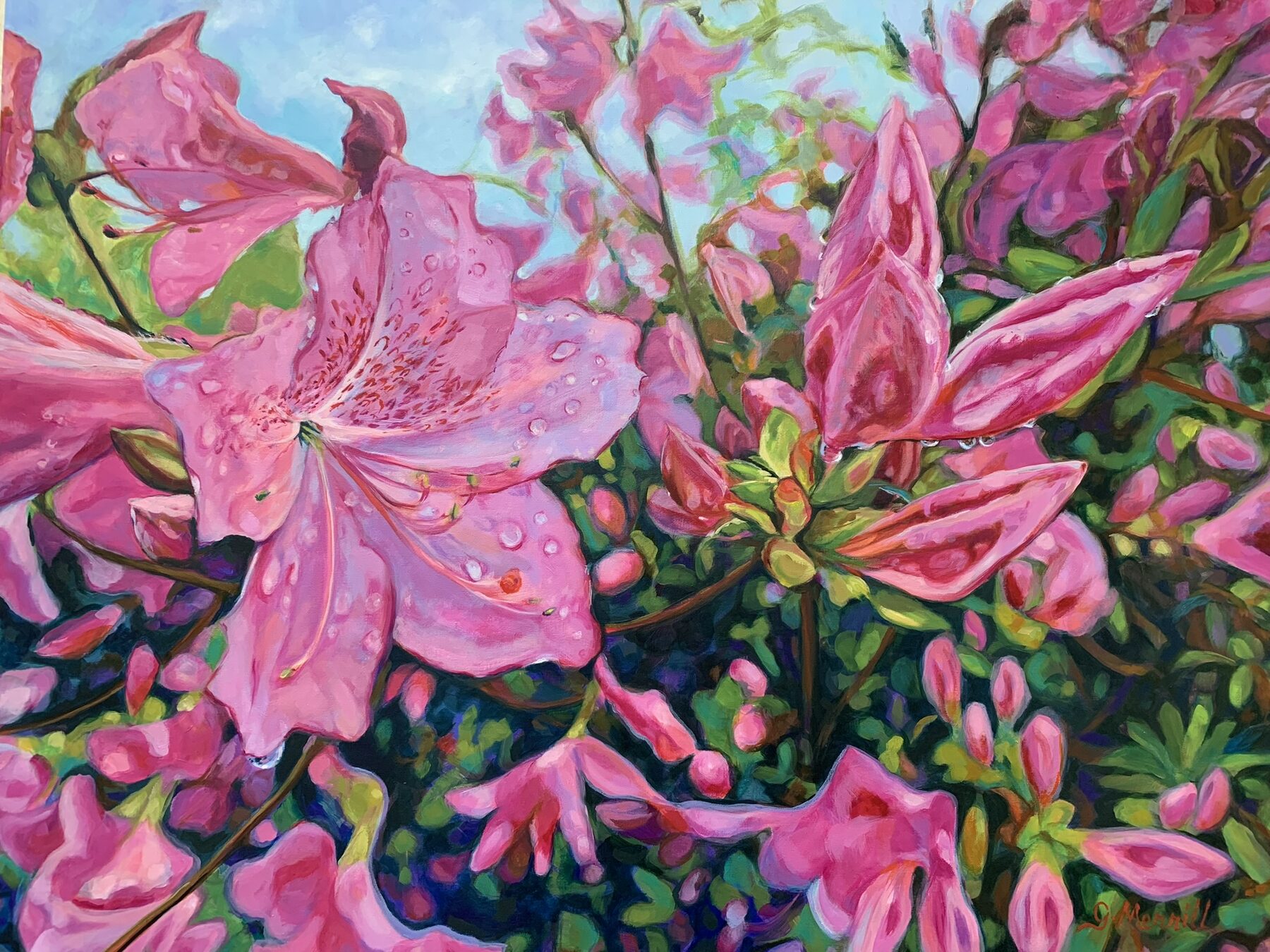 Super Pinky Azaleas, oil painting by Gayle Merrill