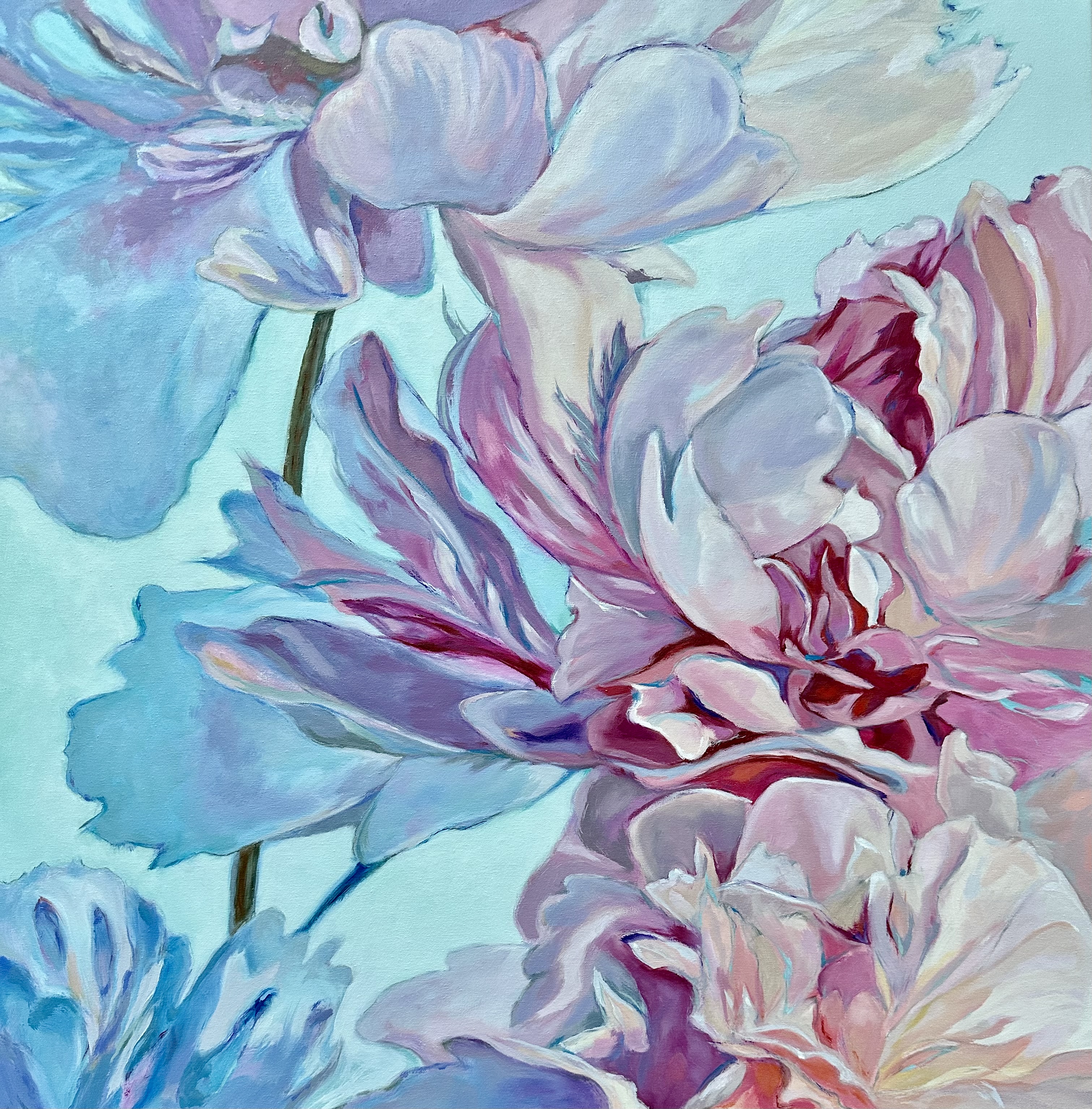 Peonies Blue then Pink
