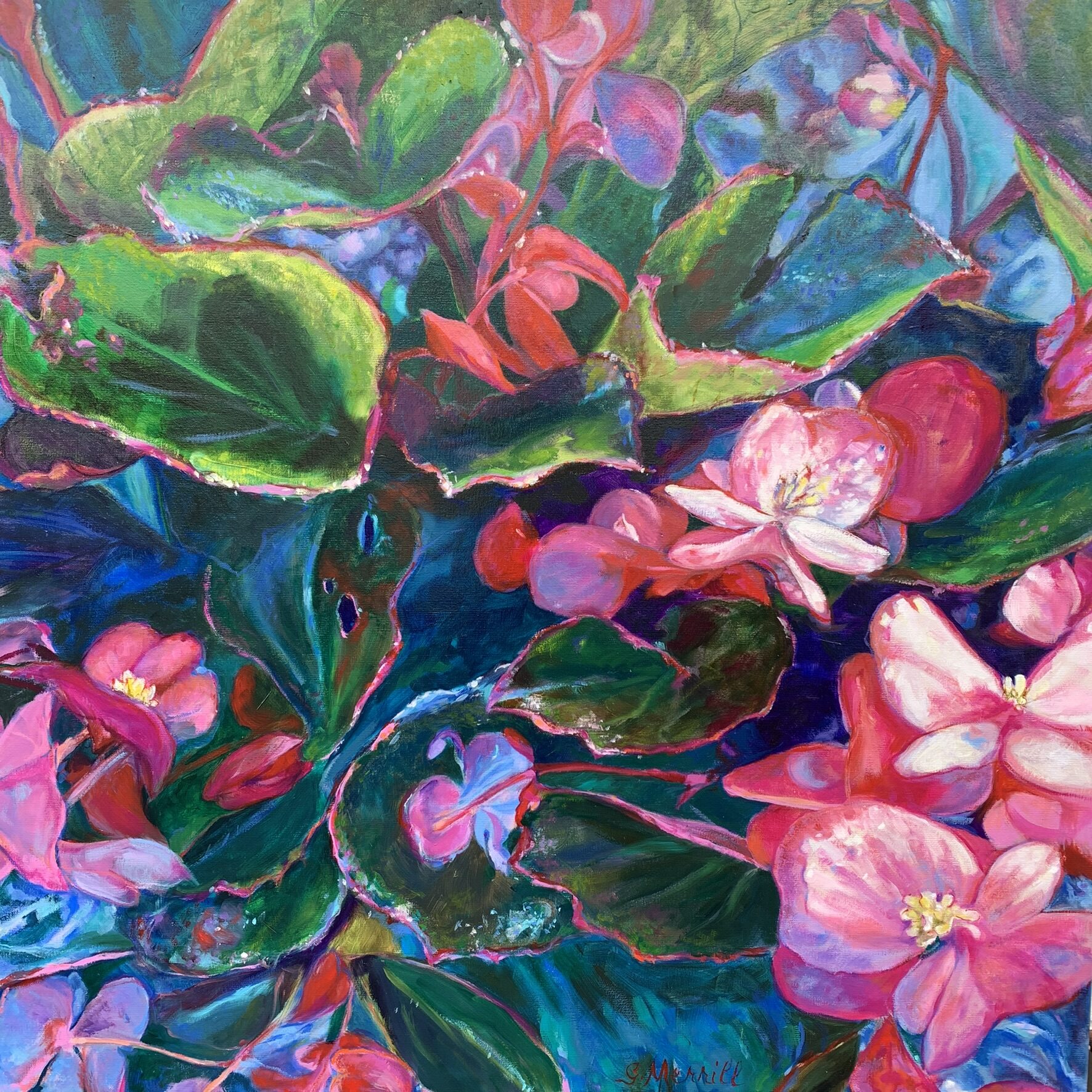 Pink Begonia, oil painting by Gayle Merrill