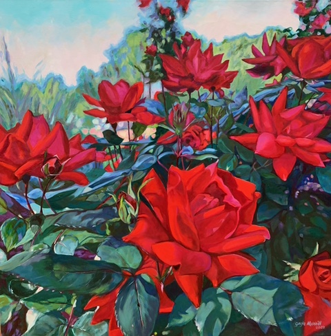 Roses Delight