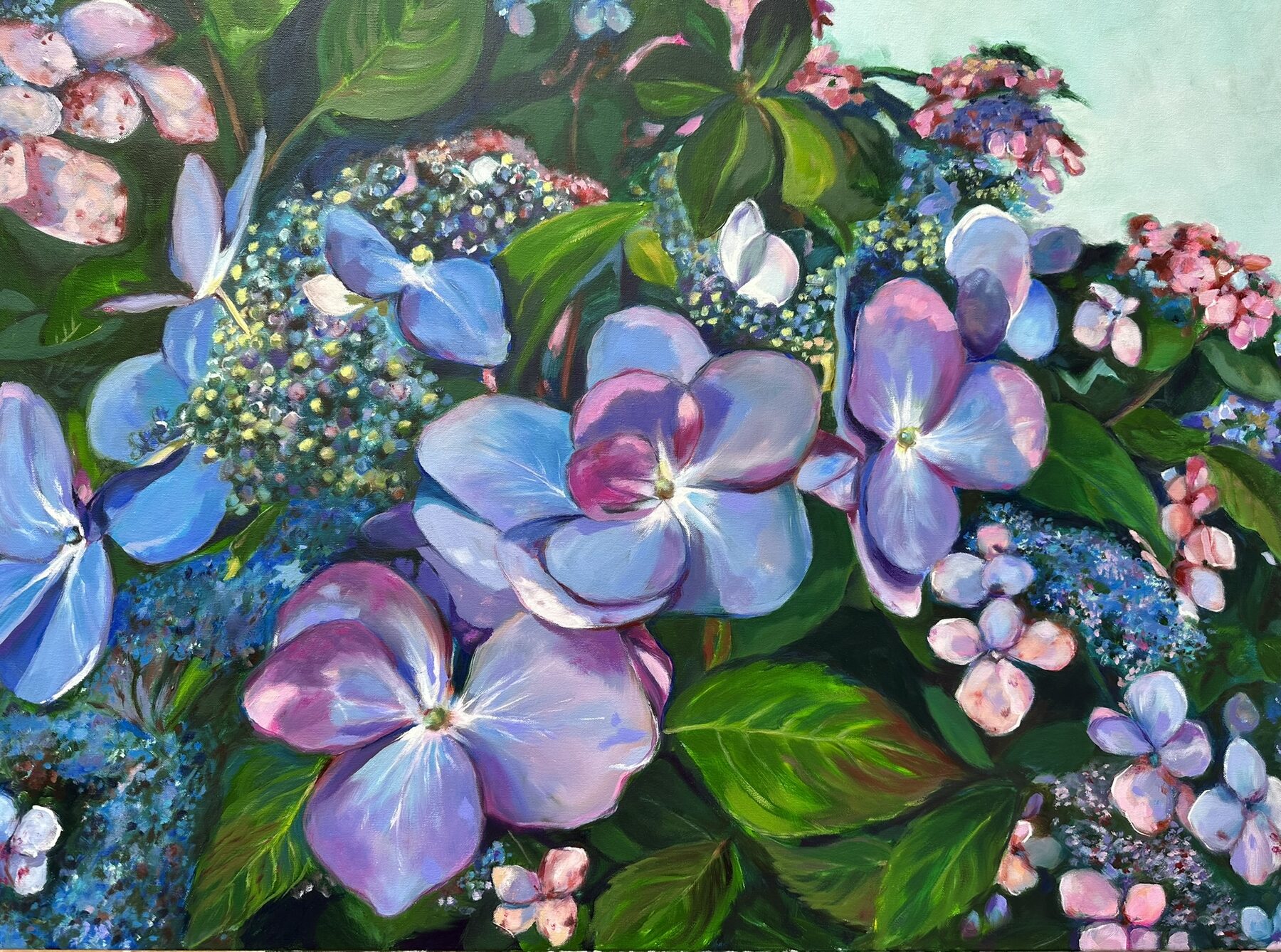 Lacecaps, oil painting by Gayle Merrill