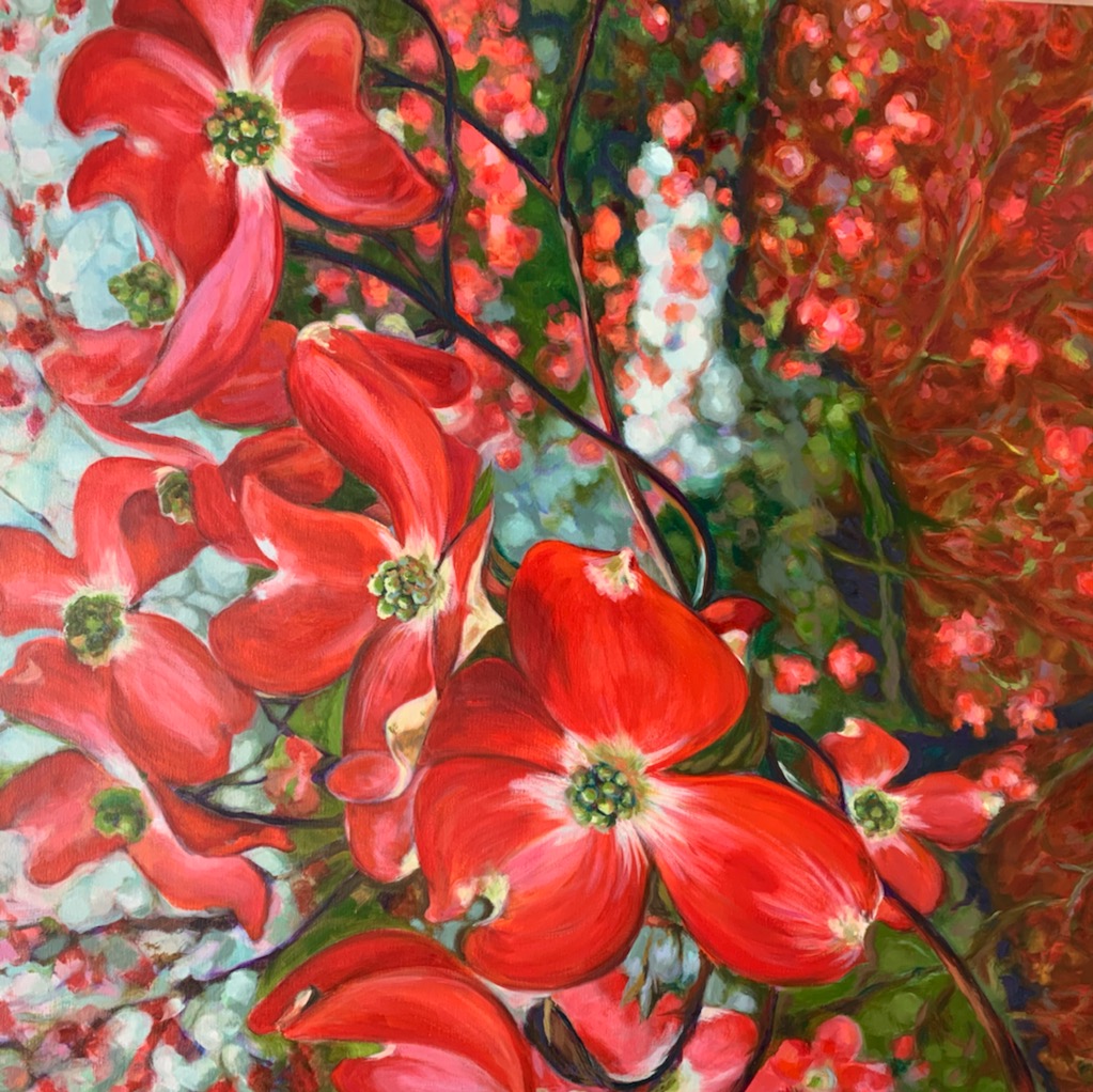 Pinky Red Dogwood